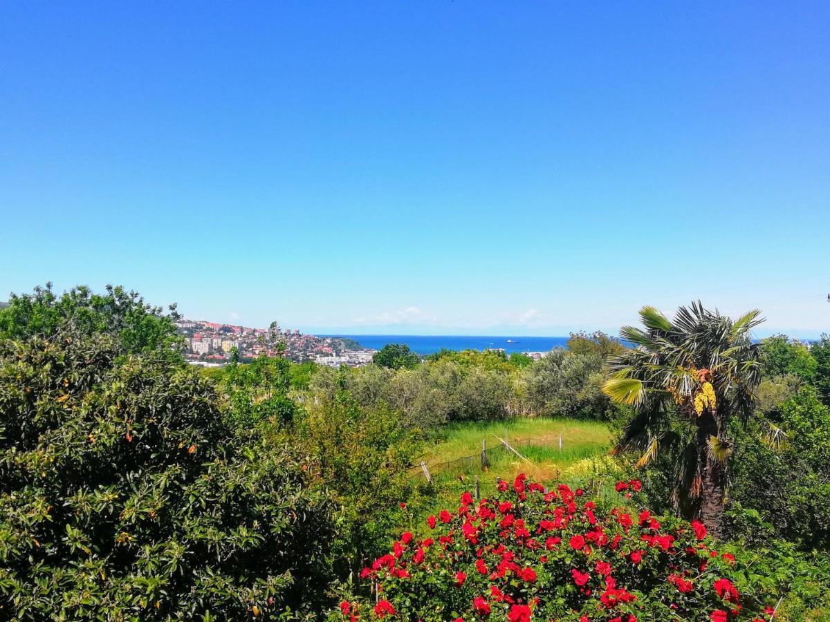 Peaceful View Apartment Koper Exteriör bild