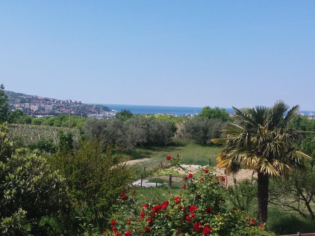 Peaceful View Apartment Koper Exteriör bild